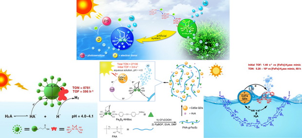 理化所模拟铁氢化酶化合物光催化产氢研究获进展