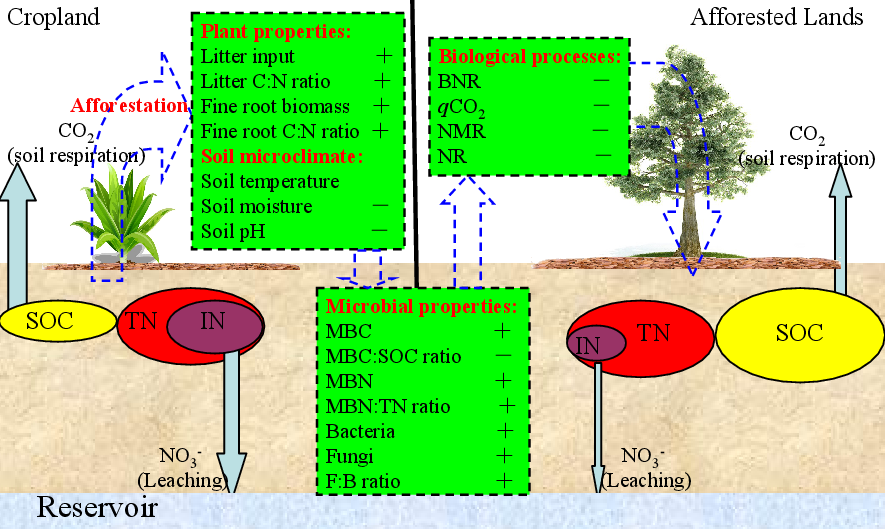 sci total environ:武汉植物园揭示土地利用变化过程中土壤微生物群