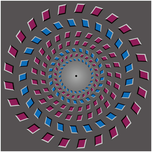 pinna旋转运动视觉错觉是由意大利视觉科学艺术家baingio pinna设计